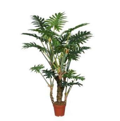 พืช Philodendron ปลอม