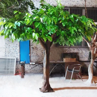 ไม้ผลโกโก้ตกแต่ง